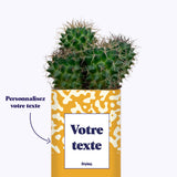 Pattern jaune - Plante personnalisable