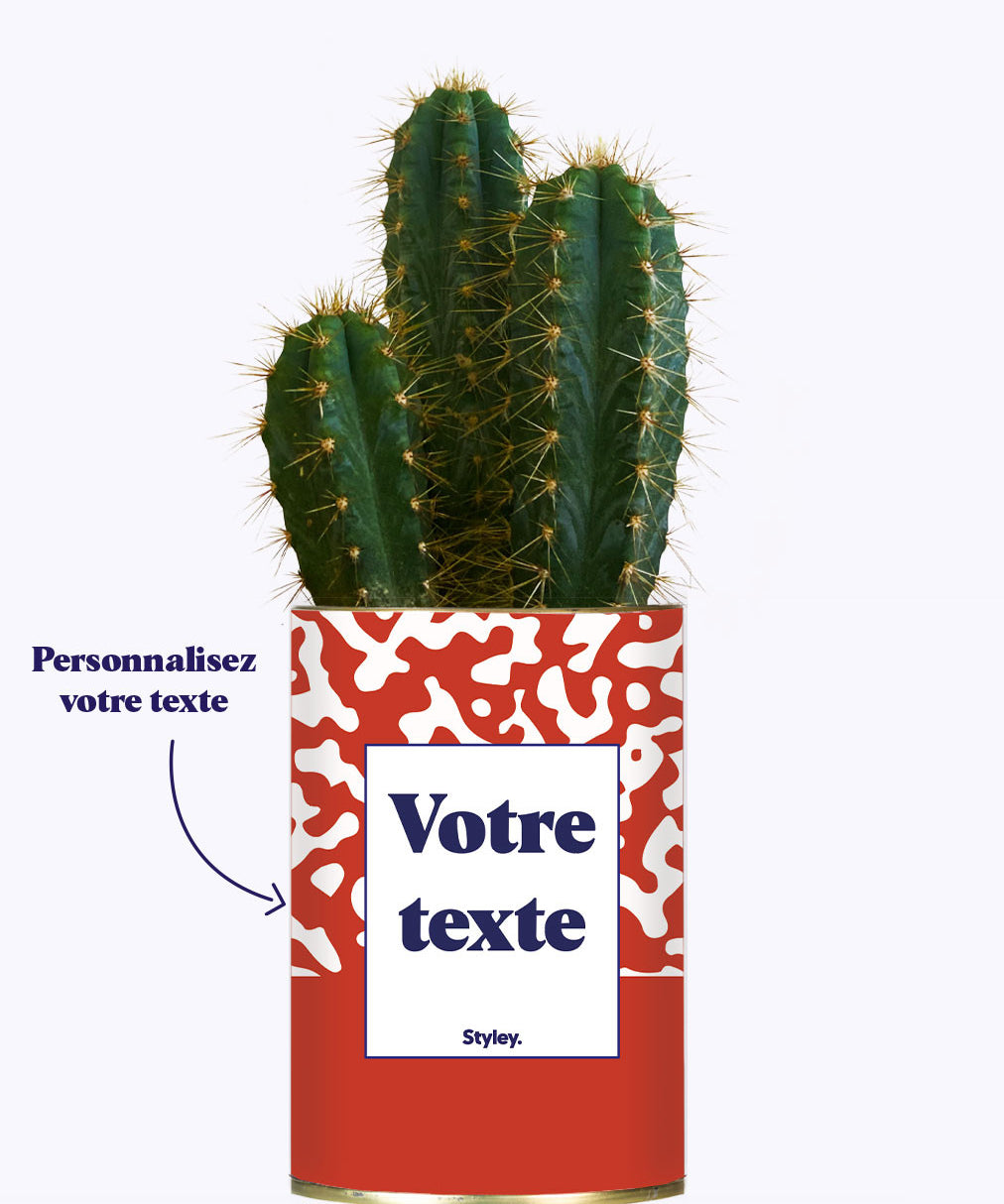 Pattern rouge - Plante personnalisable