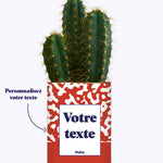 Pattern rouge - Plante personnalisable