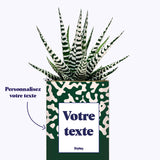 Pattern vert - Plante personnalisable
