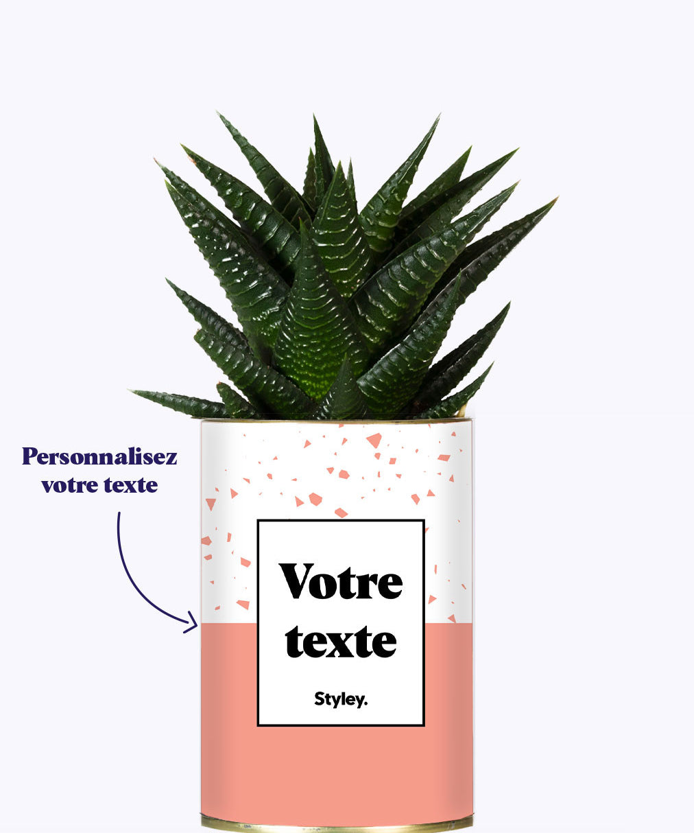 Terrazzo Rose - Plante personnalisable