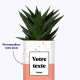 Terrazzo Rose - Plante personnalisable