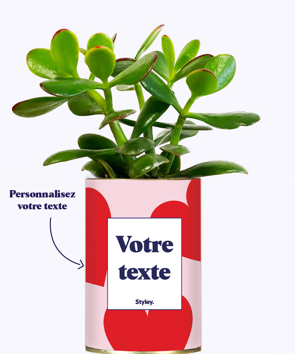 Beauté - Plante personnalisable