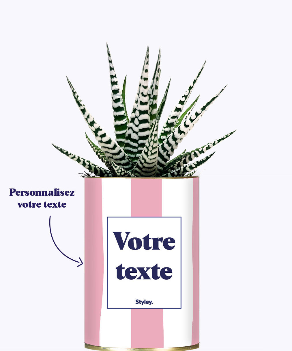 Rayures roses - Plante personnalisable