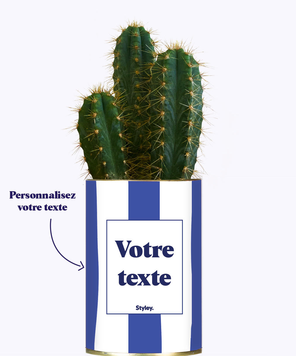 Rayures bleues - Plante personnalisable