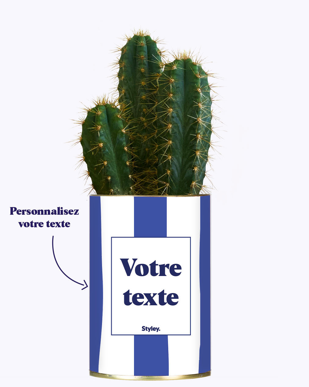 Rayures bleues - Plante personnalisable