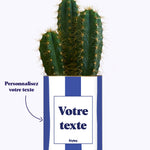 Rayures bleues - Plante personnalisable