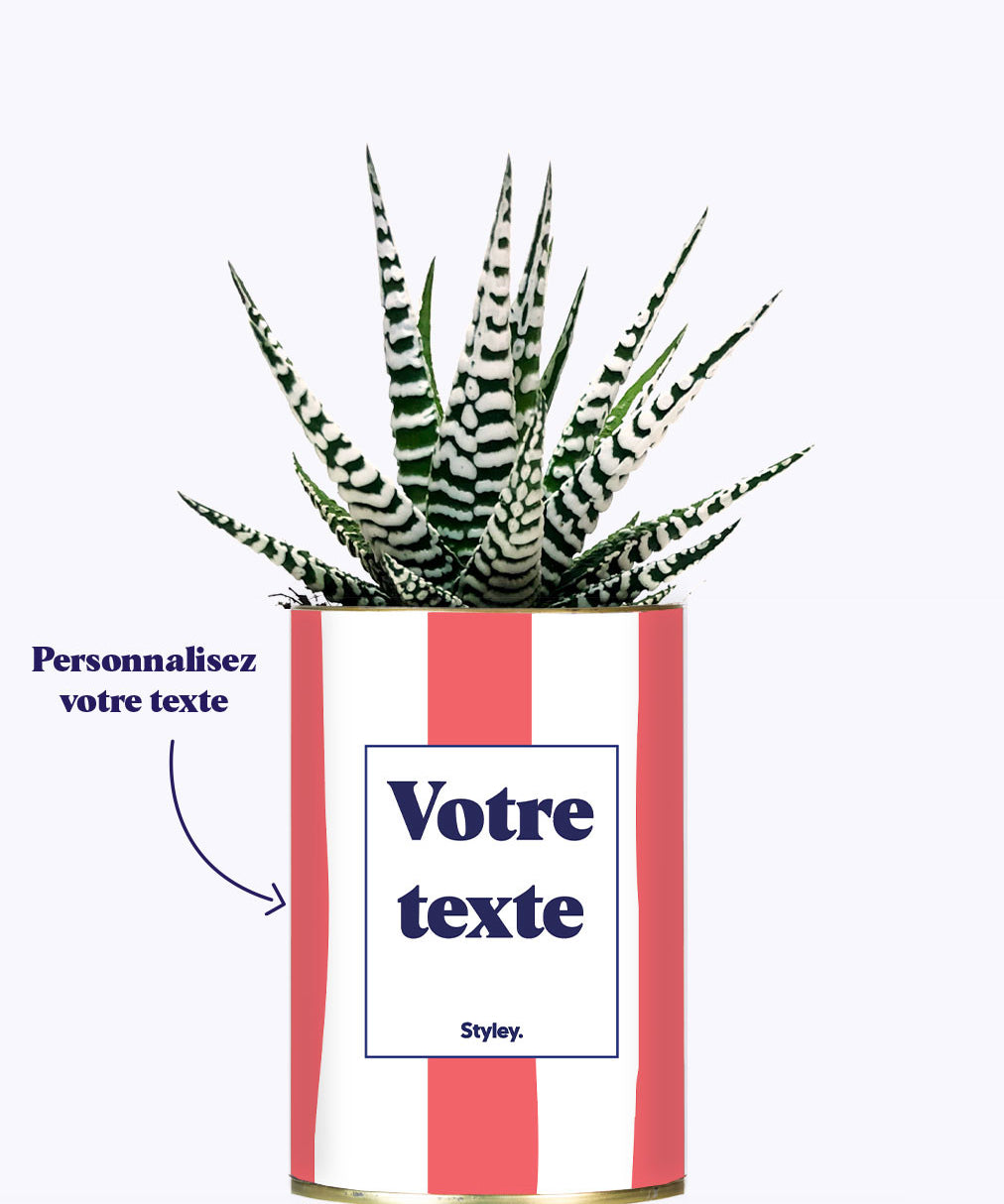 Rayures corail - Plante personnalisable