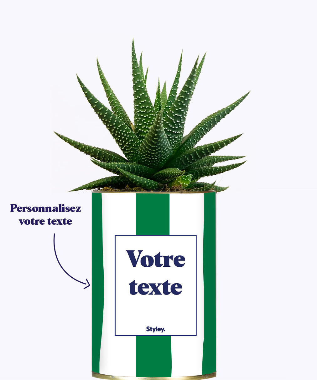 Rayures Vertes - Plante personnalisable