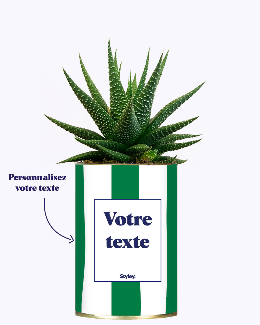 Rayures Vertes - Plante personnalisable