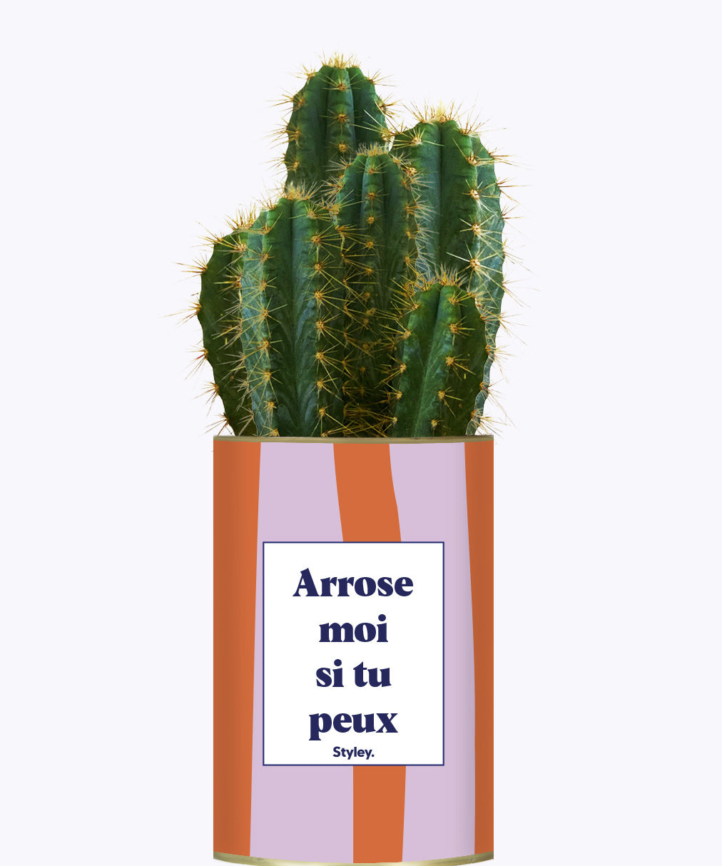Arrose moi si tu peux - Plante