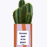 Arrose moi si tu peux - Plante