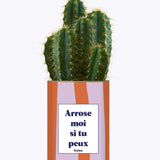 Arrose moi si tu peux - Plante