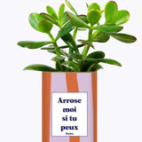 Arrose moi si tu peux - Plante