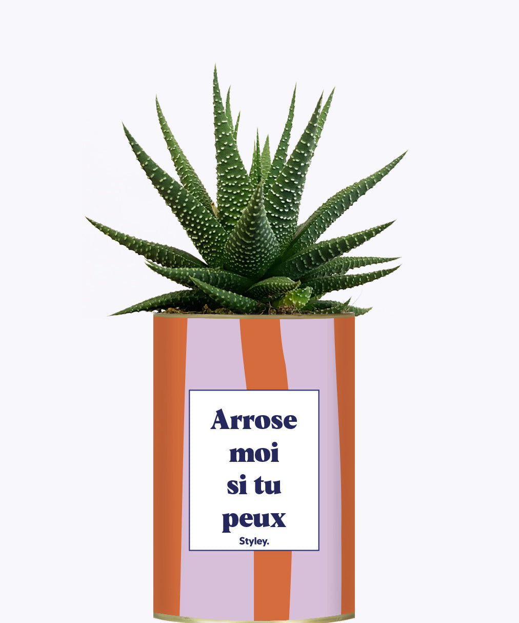 Arrose moi si tu peux - Plante