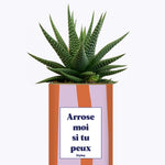 Arrose moi si tu peux - Plante