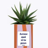 Arrose moi si tu peux - Plante