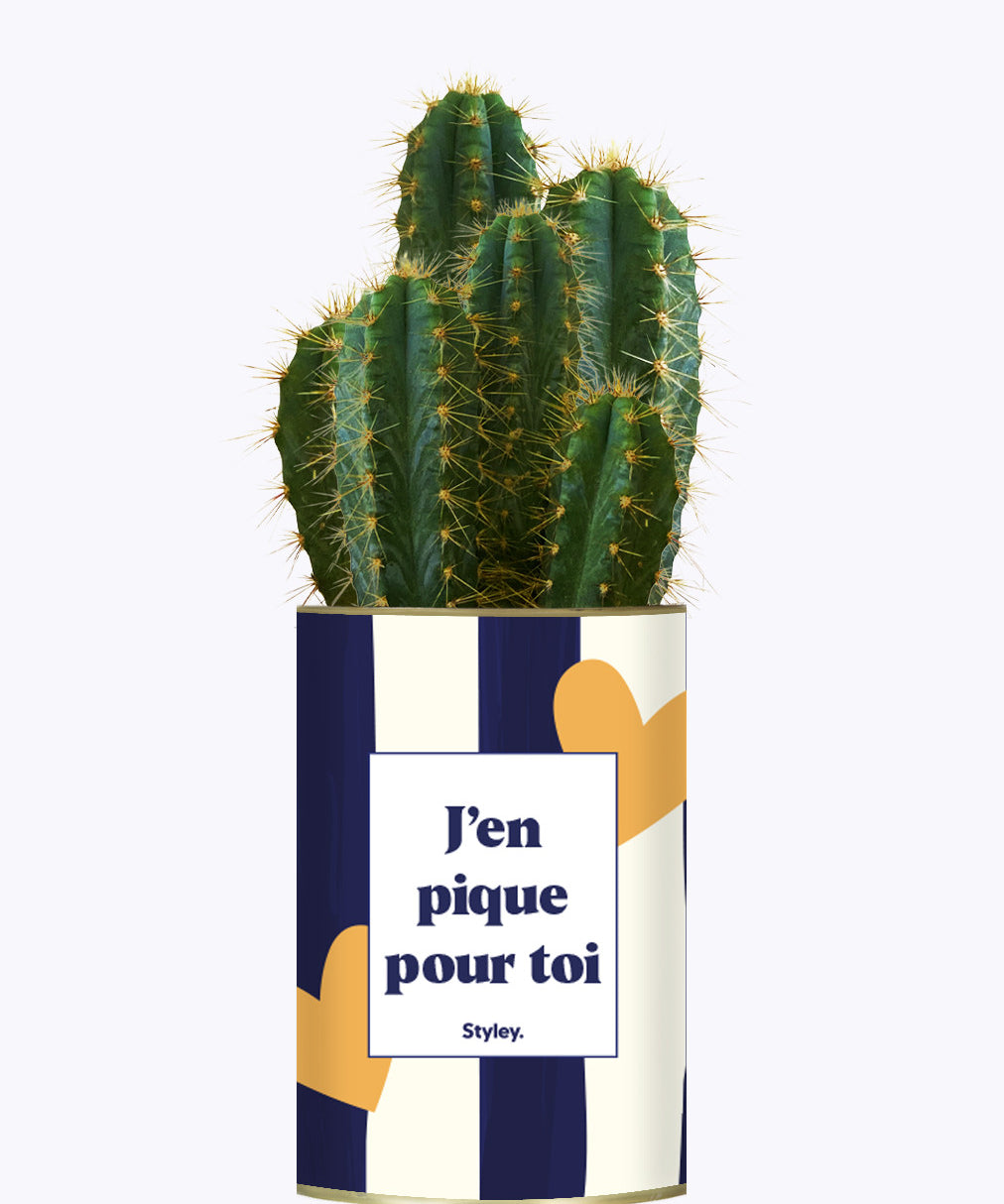J'en pique pour toi - Plante