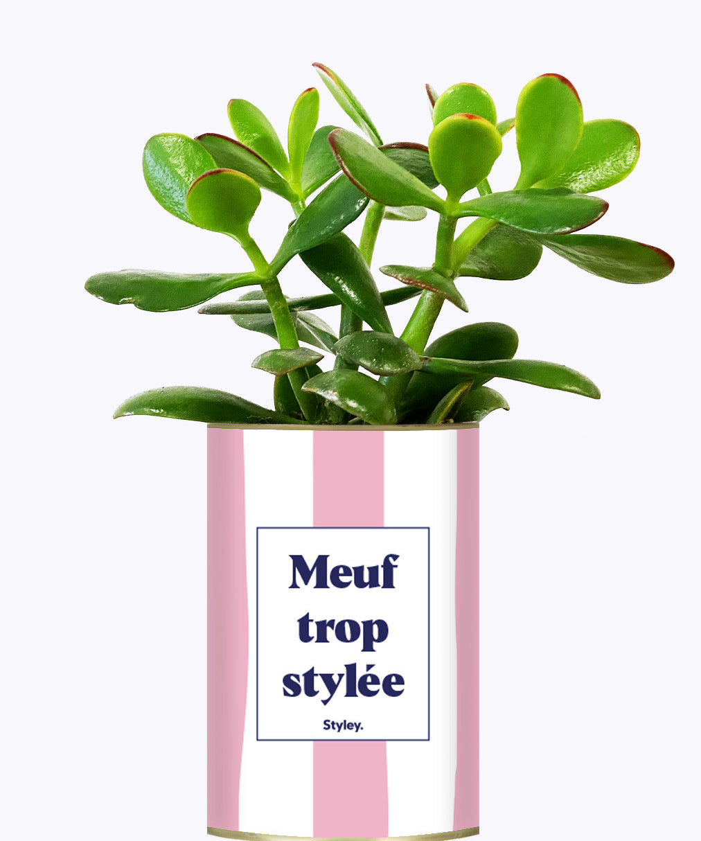 Meuf trop stylée - Plante