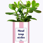 Meuf trop stylée - Plante