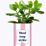 Meuf trop stylée - Plante