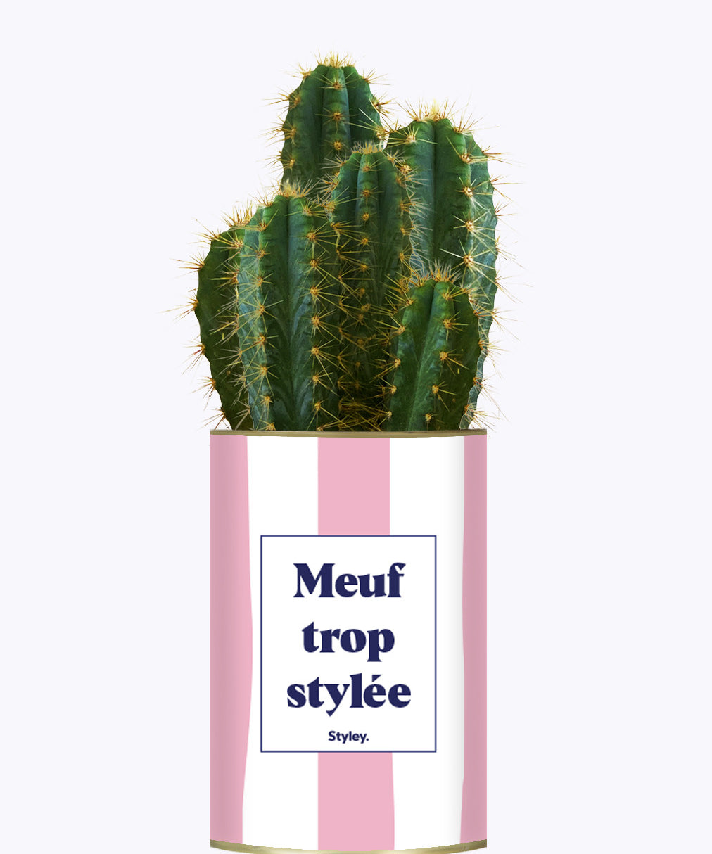 Meuf trop stylée - Plante