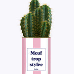 Meuf trop stylée - Plante