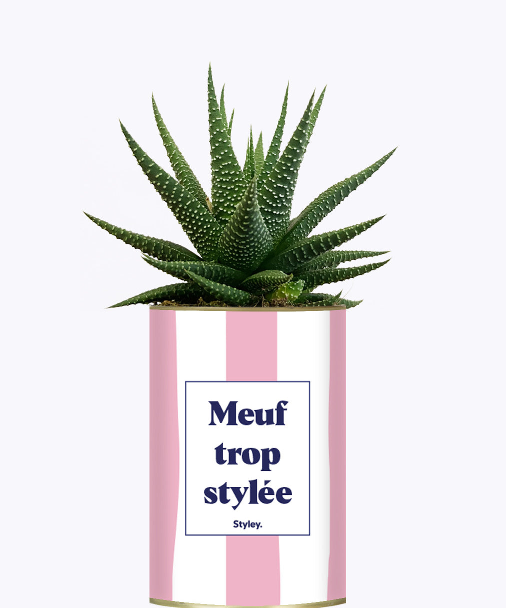 Meuf trop stylée - Plante