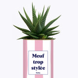 Meuf trop stylée - Plante