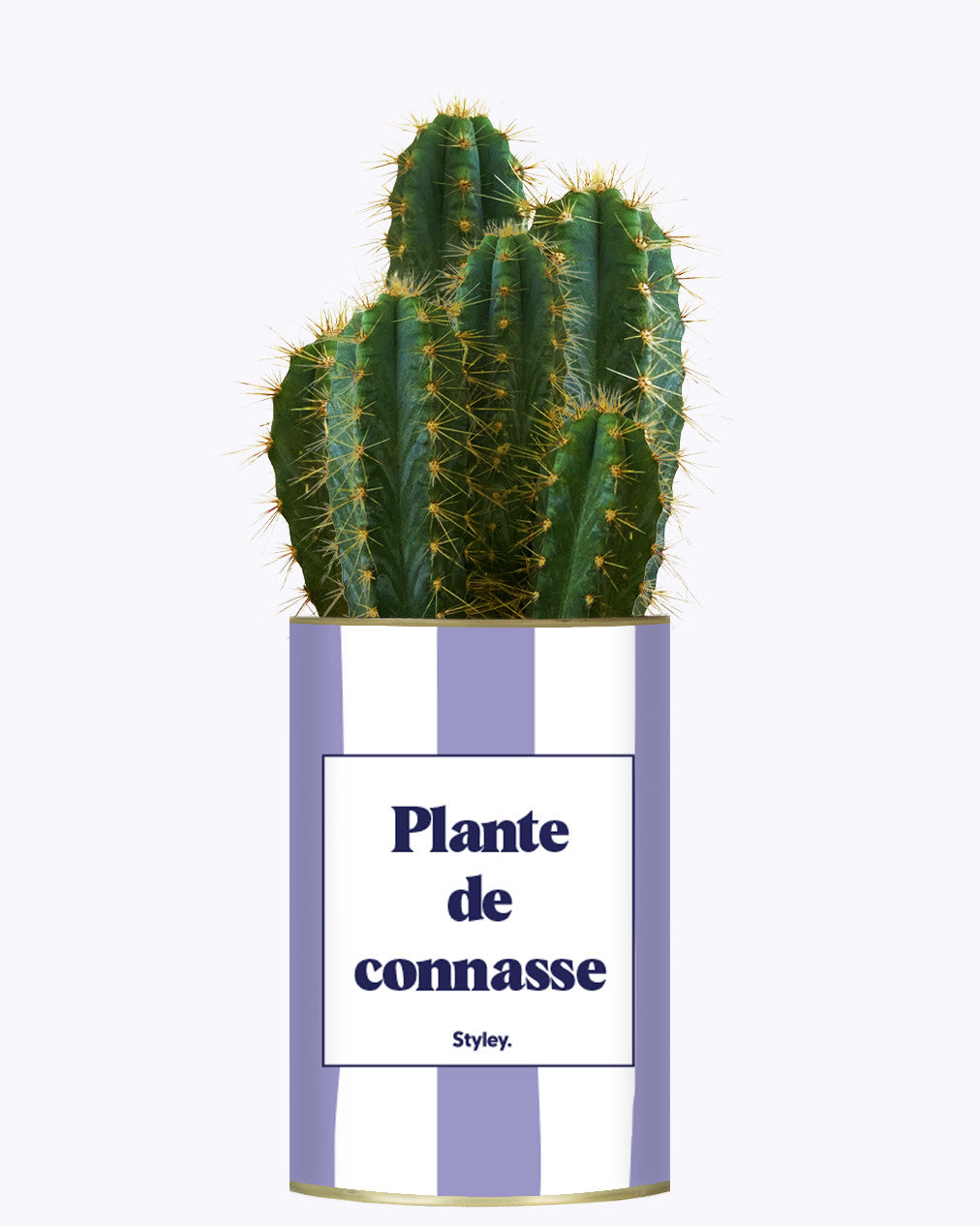 Plante de connasse - Plante
