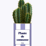 Plante de connasse - Plante