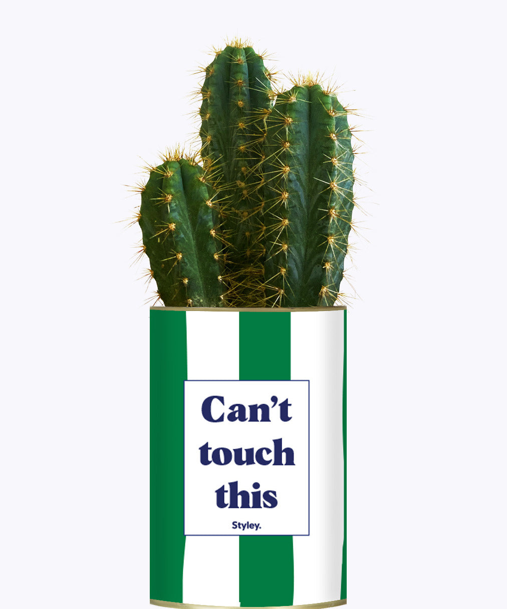 Can't touch this - Plante