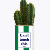 Can't touch this - Plante