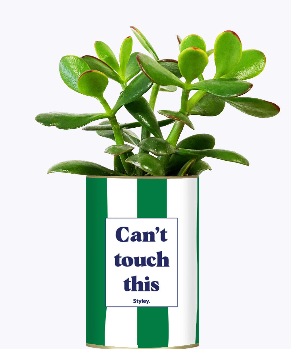 Can't touch this - Plante