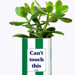 Can't touch this - Plante