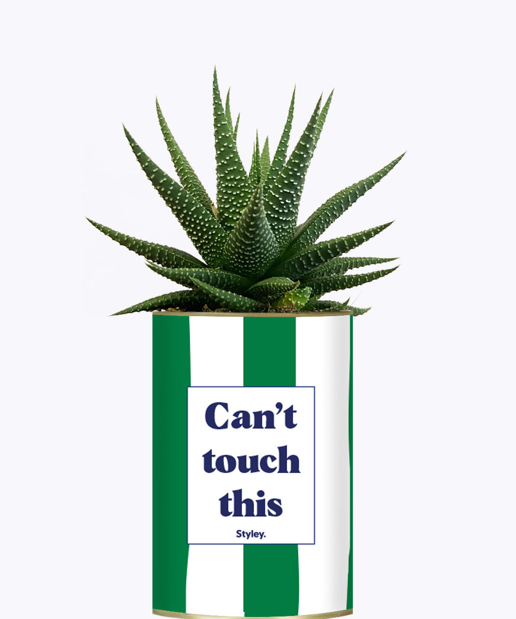 Can't touch this - Plante