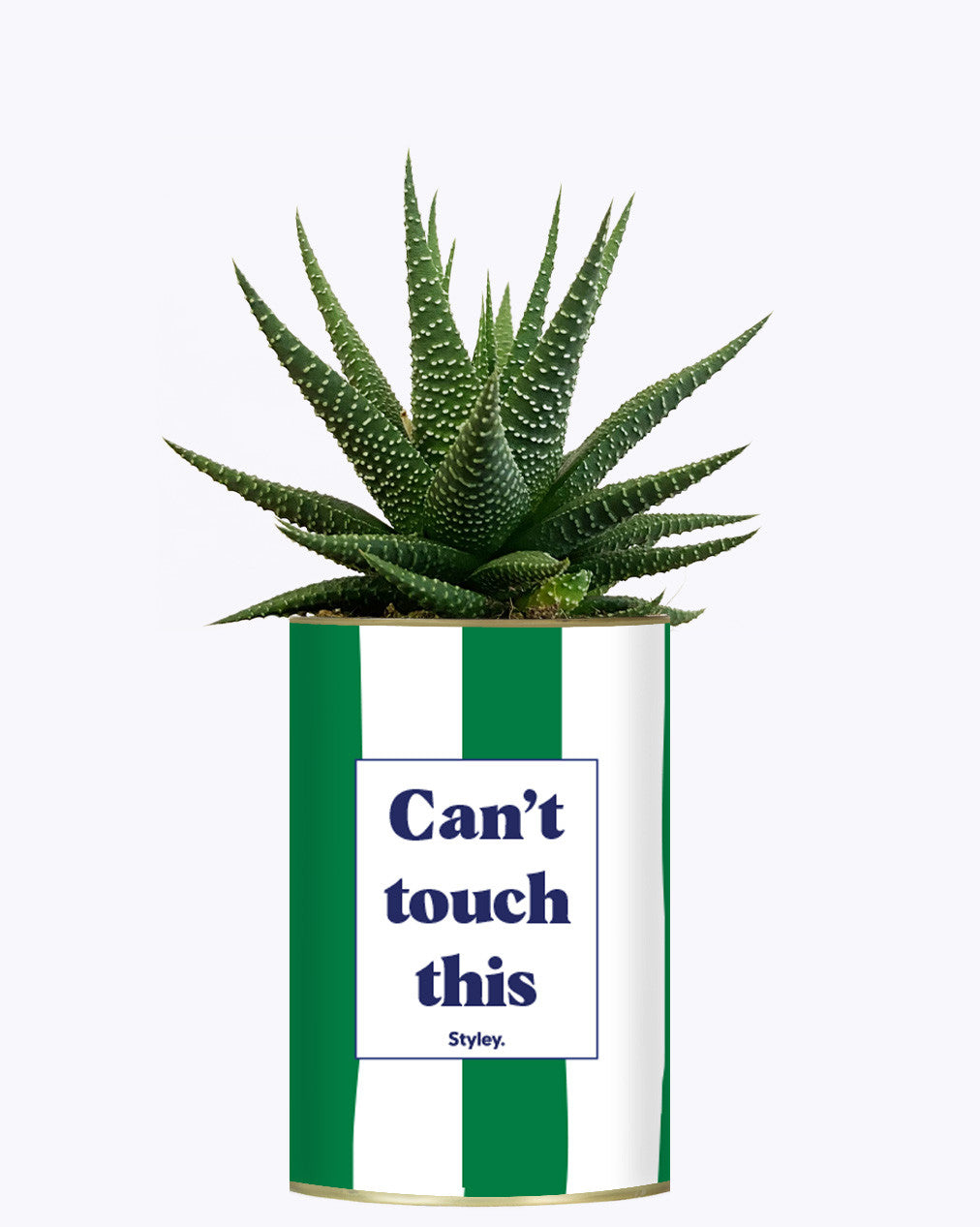 Can't touch this - Plante