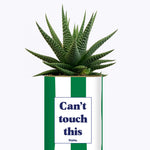 Can't touch this - Plante