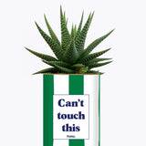 Can't touch this - Plante