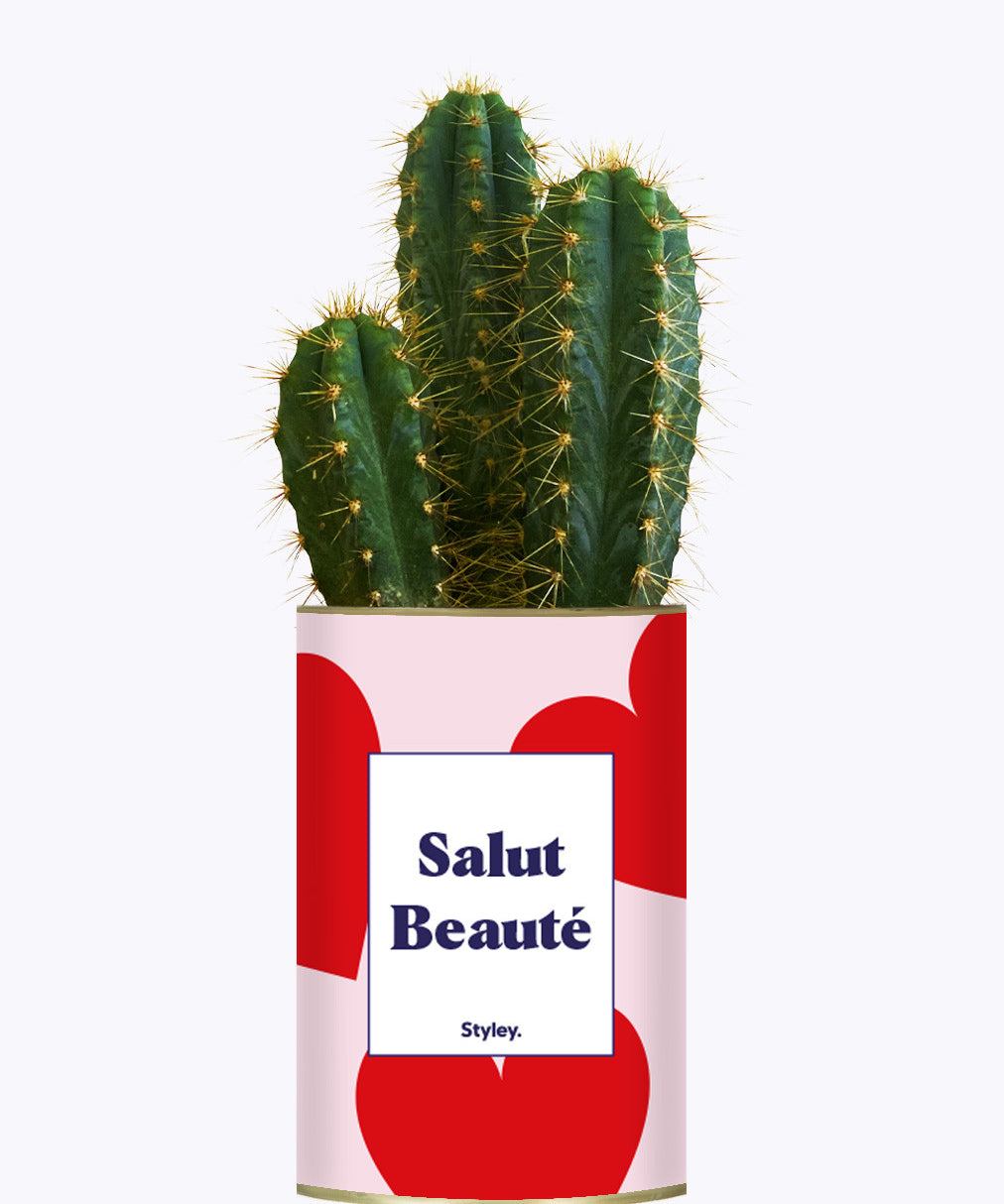 Salut beauté - Plante