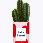 Salut beauté - Plante