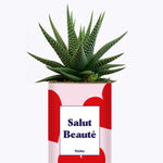 Salut beauté - Plante