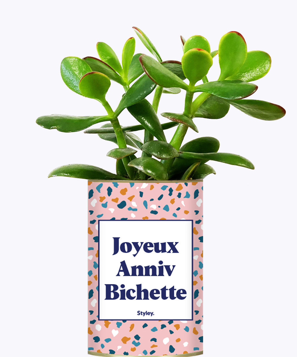 Joyeux anniv bichette - Plante