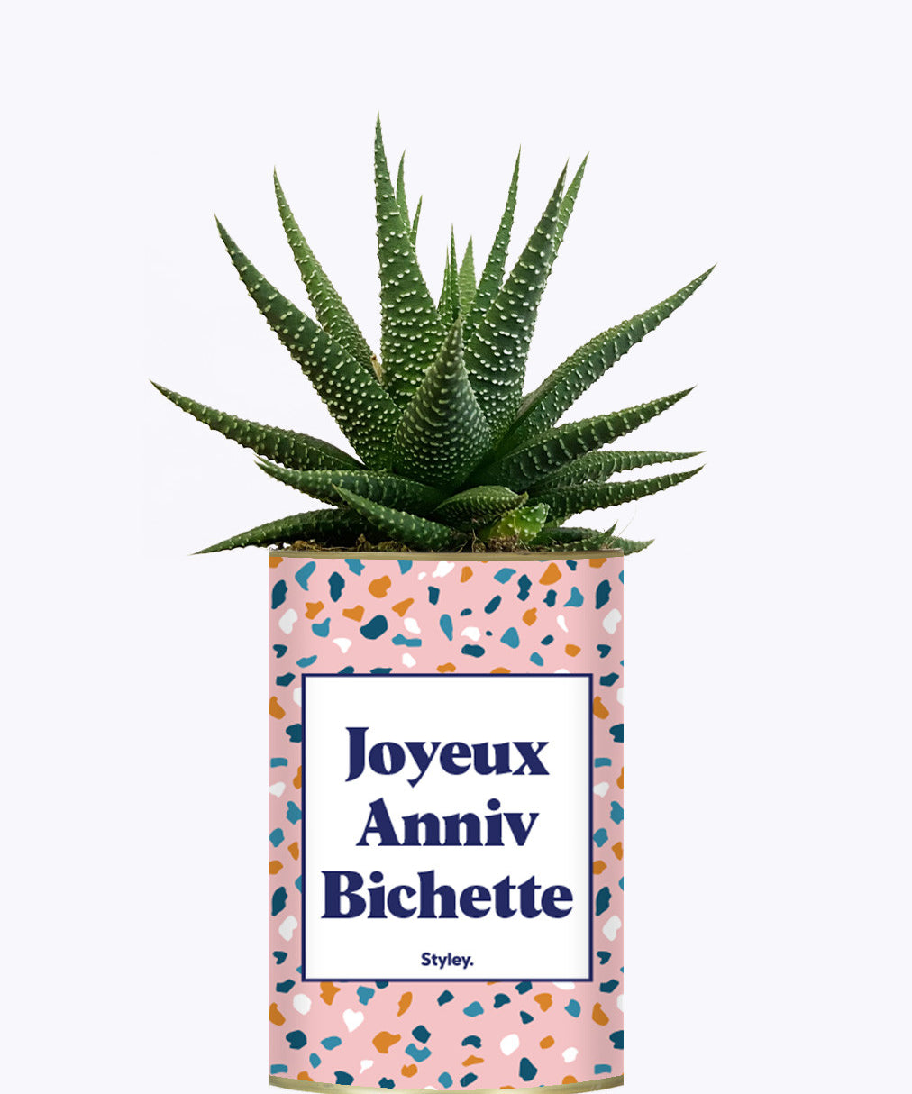 Joyeux anniv bichette - Plante