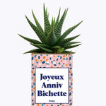 Joyeux anniv bichette - Plante