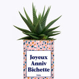 Joyeux anniv bichette - Plante