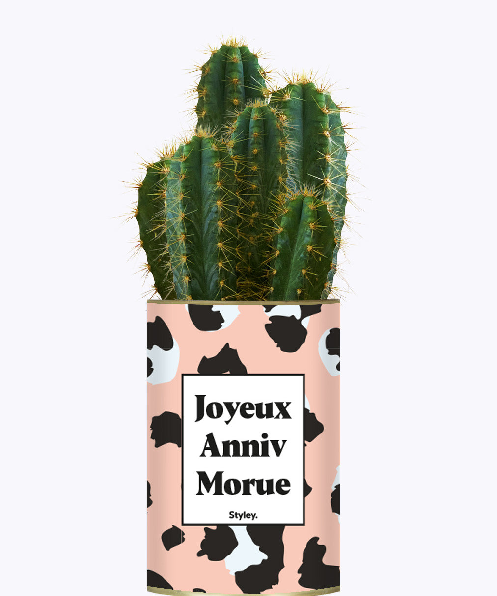 Joyeux anniv morue - Plante