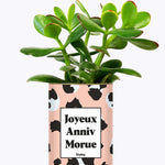 Joyeux anniv morue - Plante