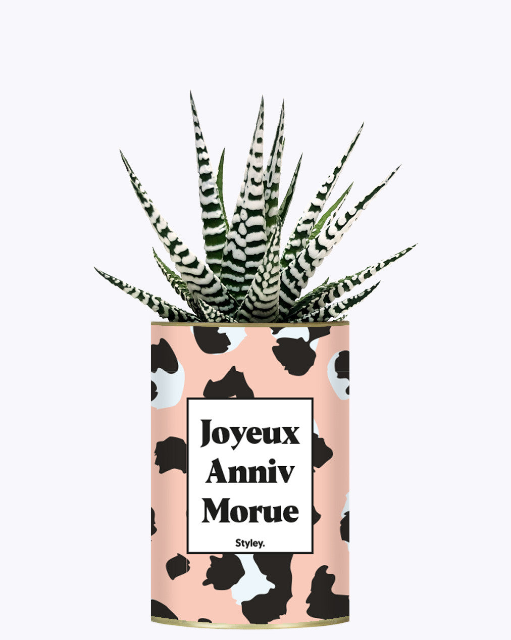 Joyeux anniv morue - Plante