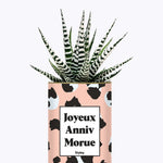 Joyeux anniv morue - Plante
